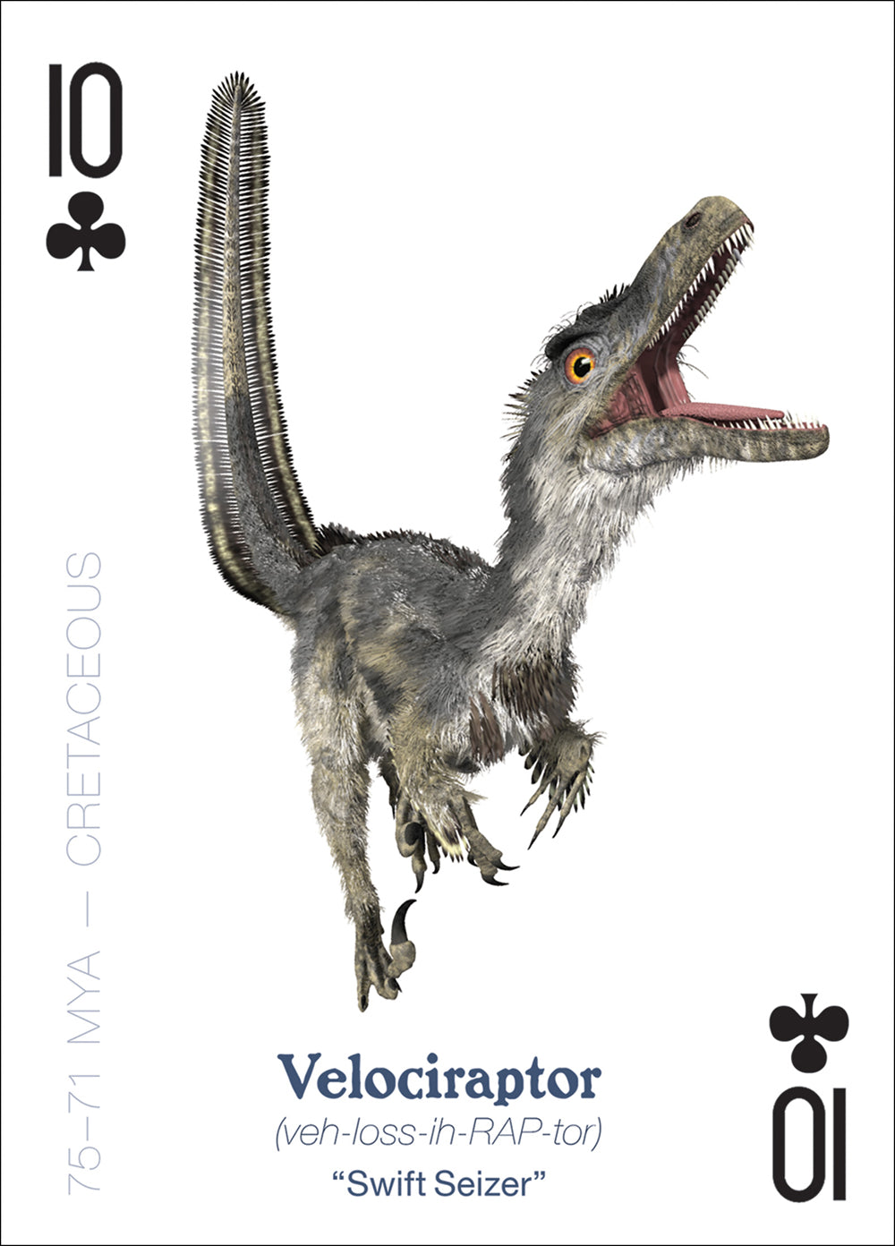 The Amazing World of Dinosaurs Playing Cards