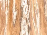BB Skort - Gilt