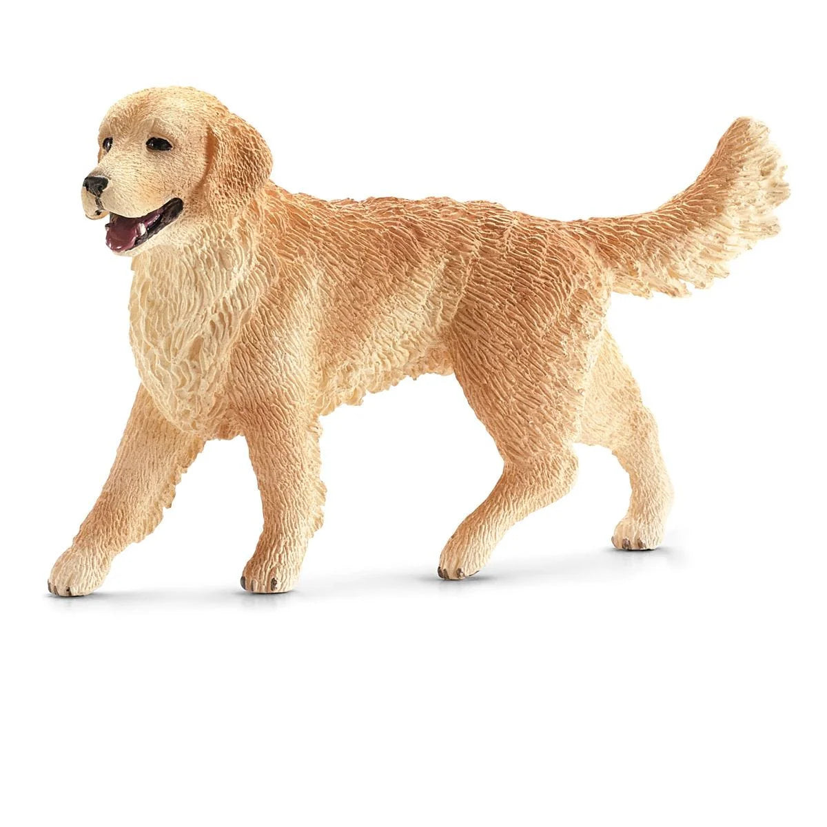 Golden Retriever female