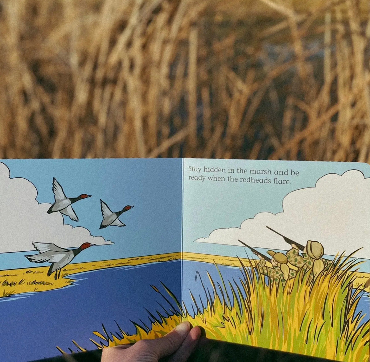 Bird Dogs