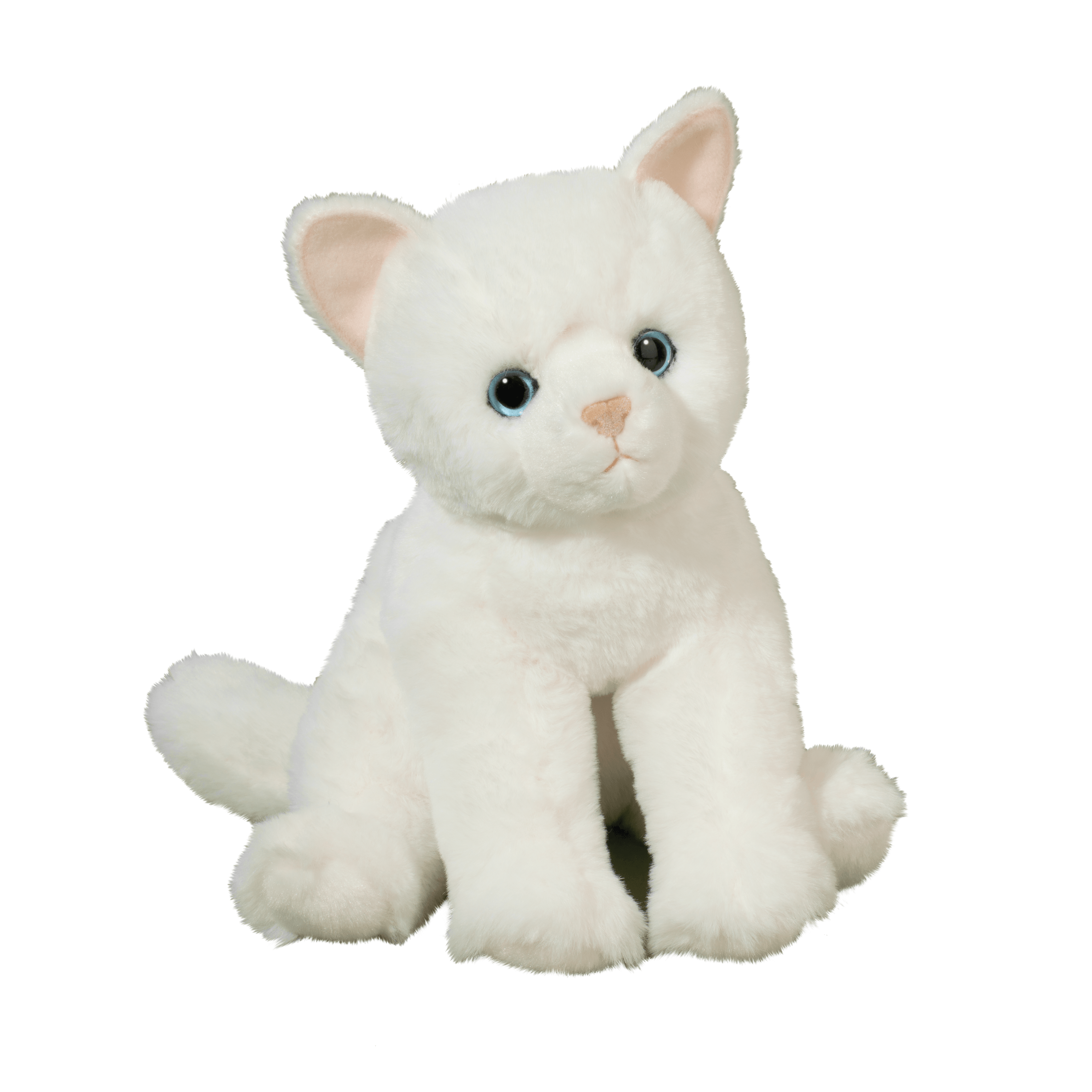 Winnie Cat