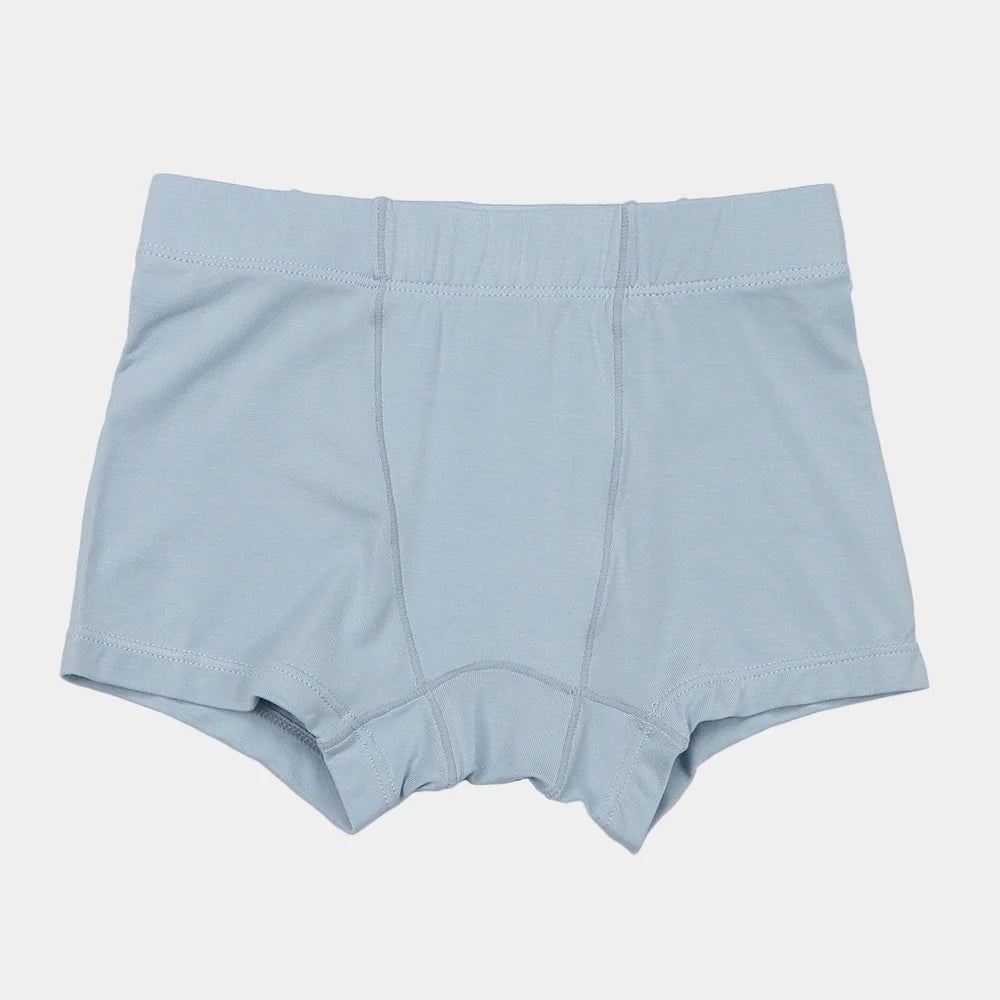 Boys Bamboo Underwear (3-pack)