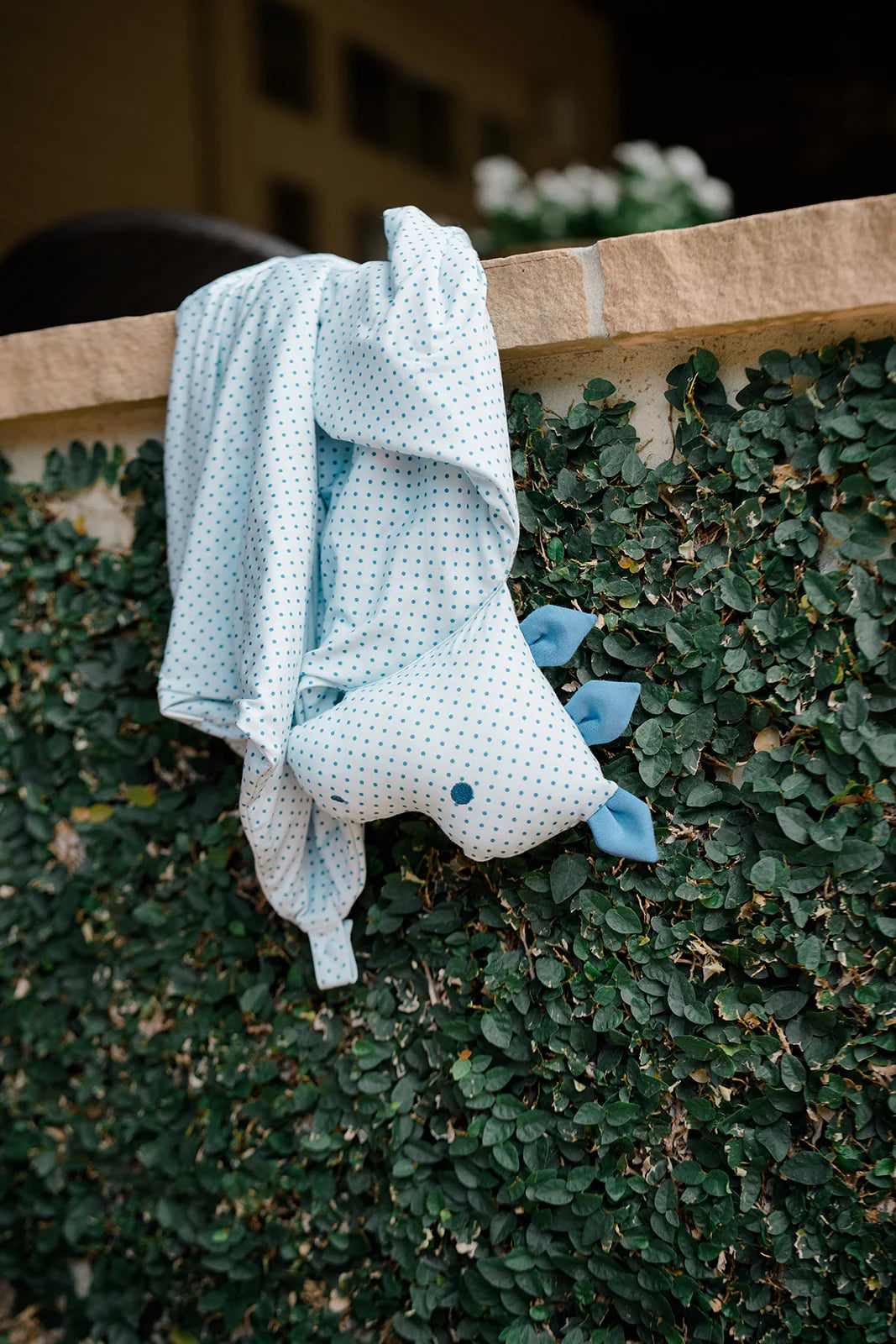 Dino Dots Lovey Blanket