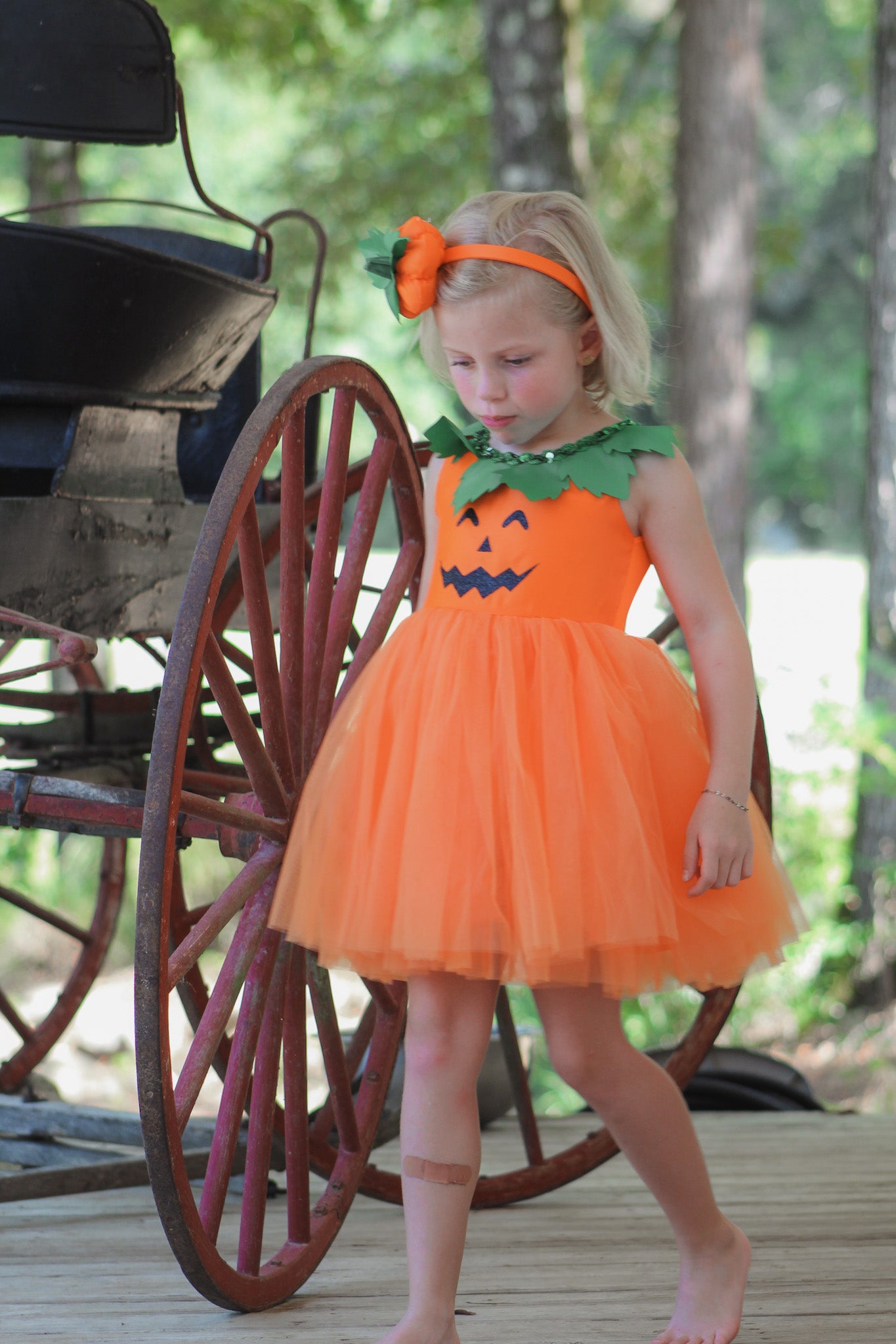 Pumpkin Patch Princess Dress