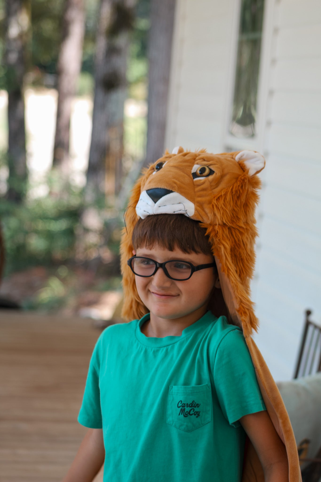 Storybook Lion Cape