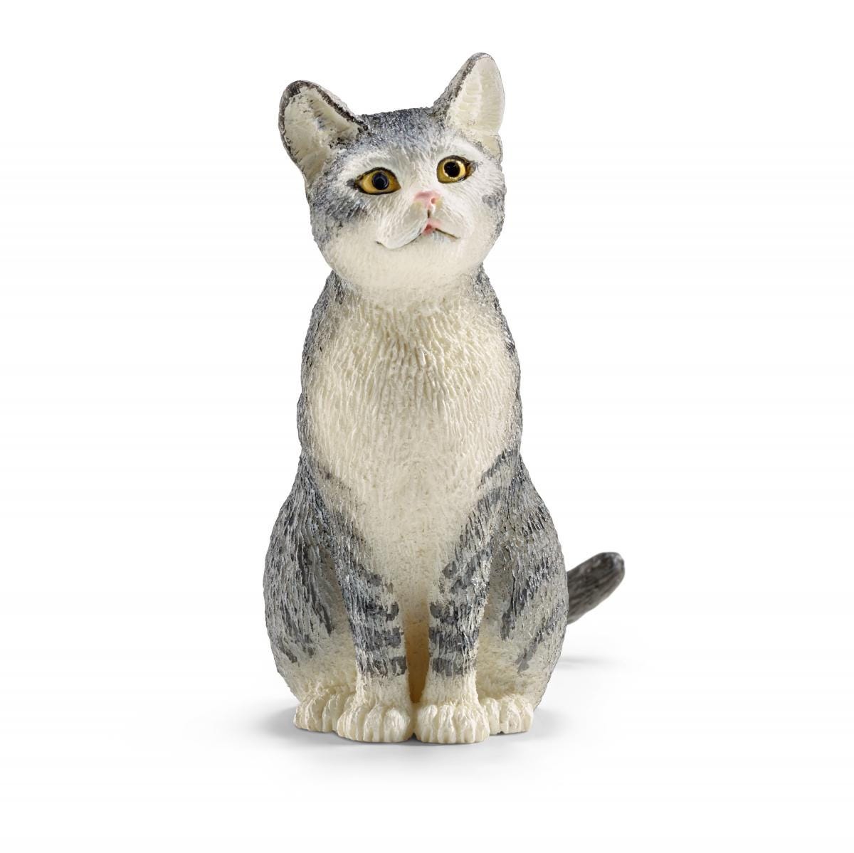 Cat, Sitting