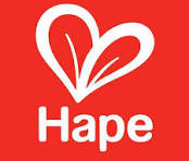 Hape Toys