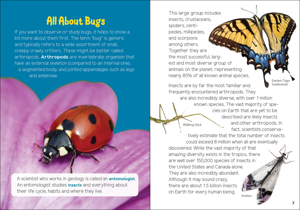 Insects &amp; Bugs for Kids