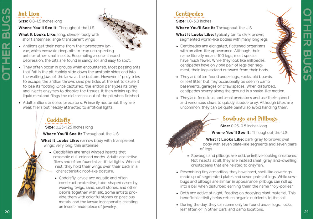 Insects &amp; Bugs for Kids