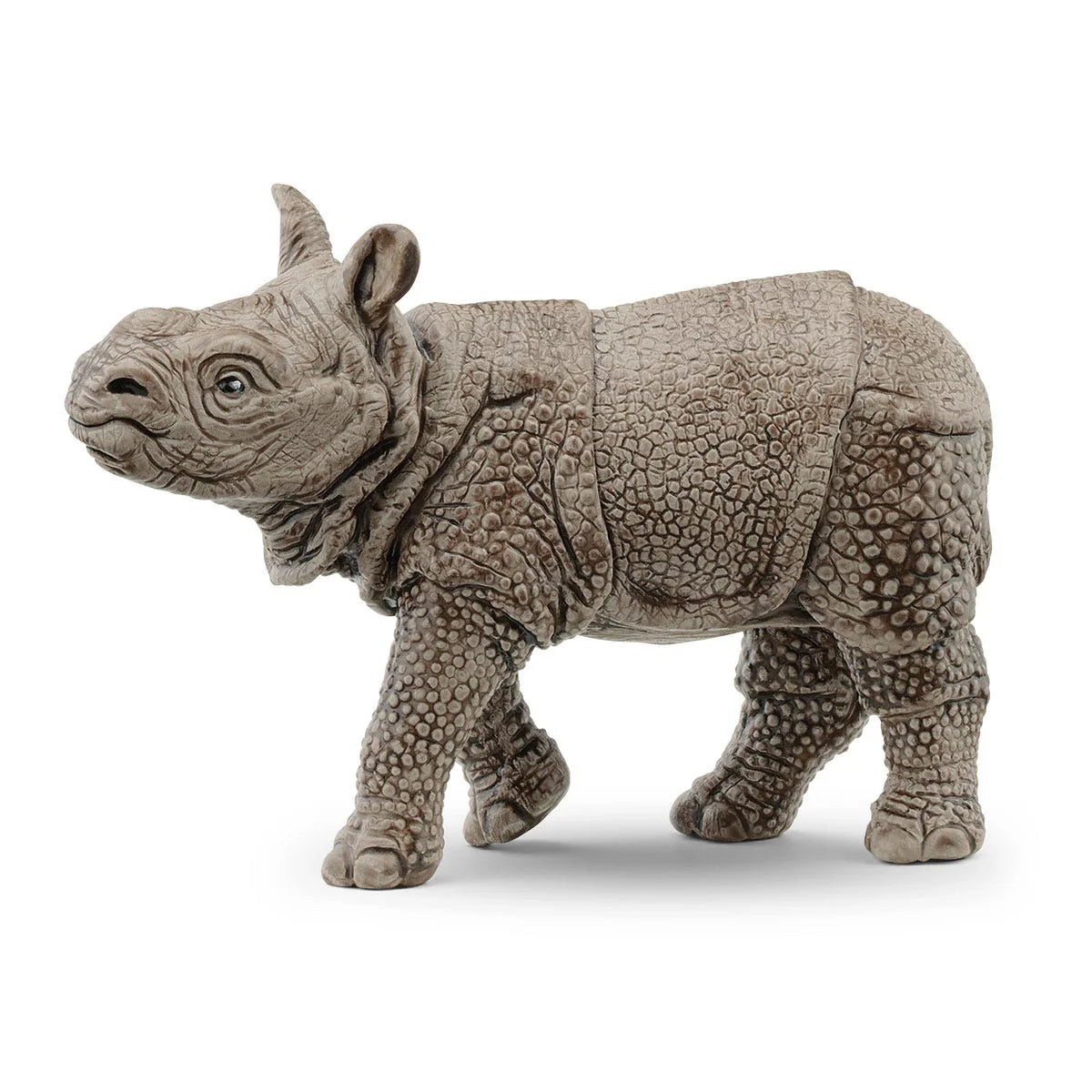 Indian baby rhinoceros