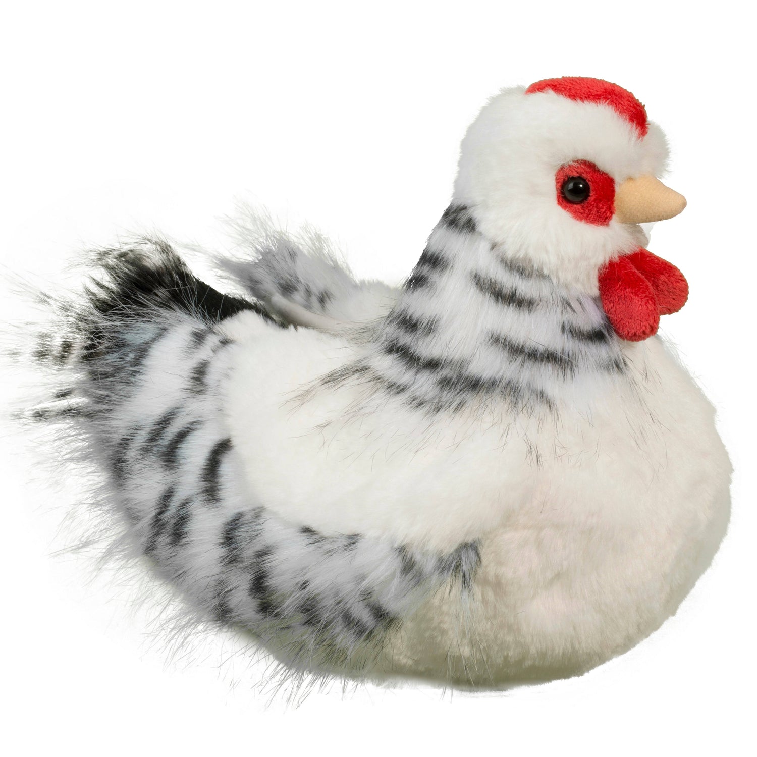 Salty Black and White Hen