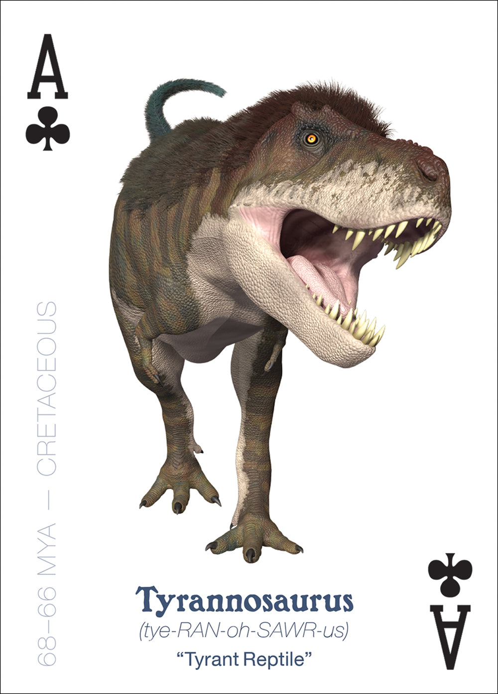 The Amazing World of Dinosaurs Playing Cards