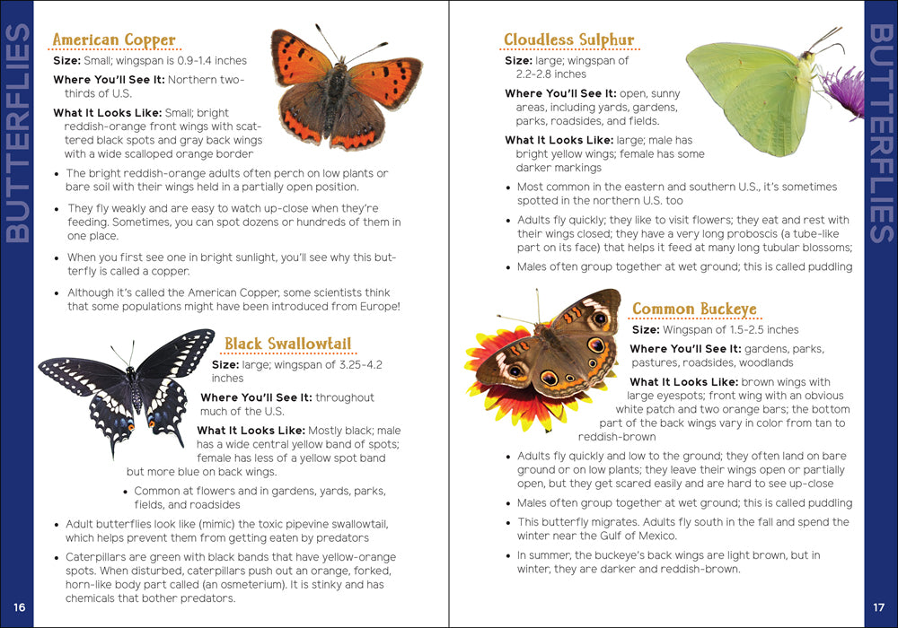 Insects &amp; Bugs for Kids