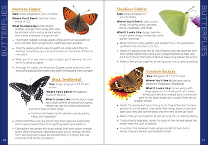 Insects &amp; Bugs for Kids