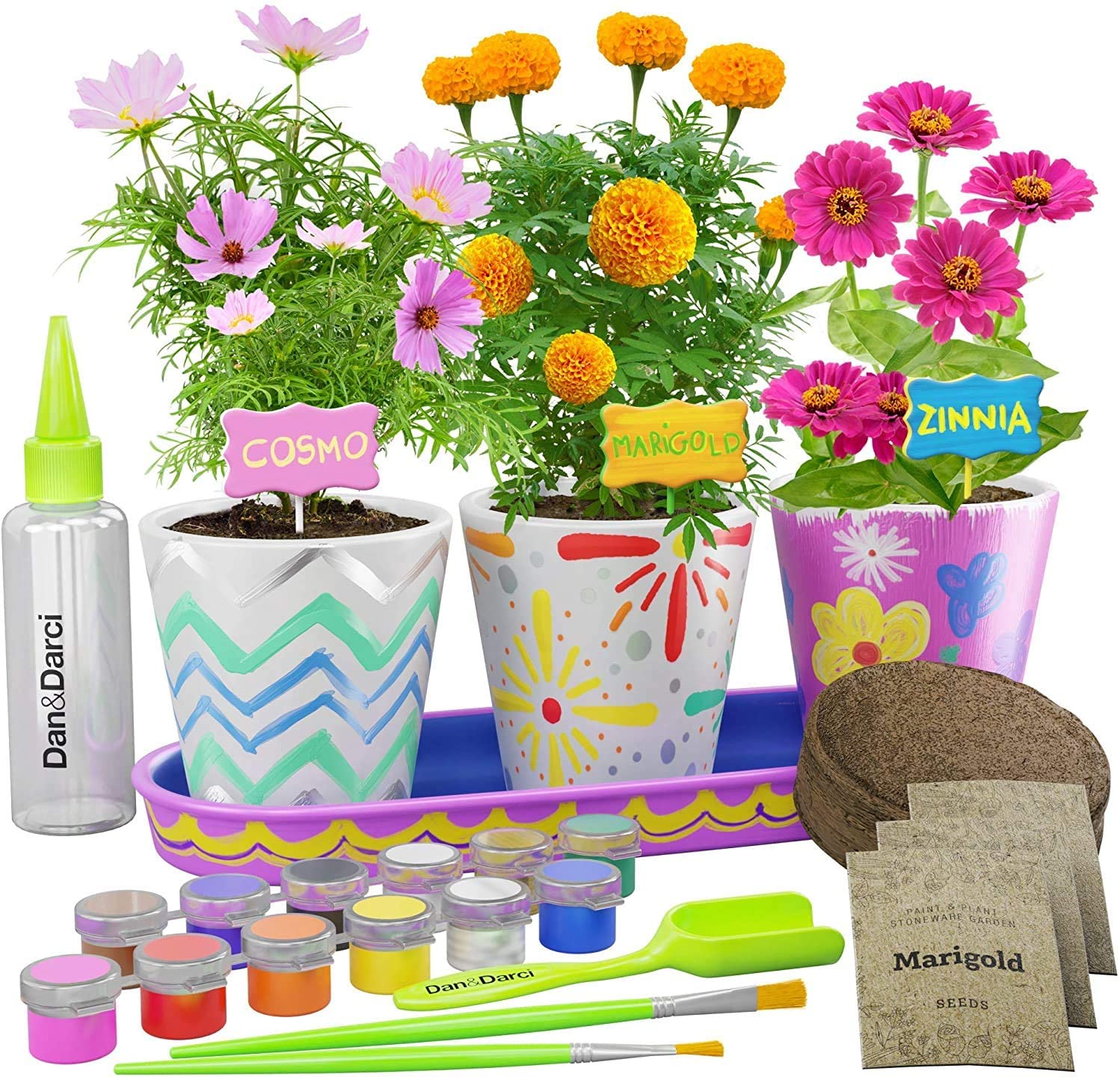Paint &amp; Plant Stoneware Flower Gardening Kit