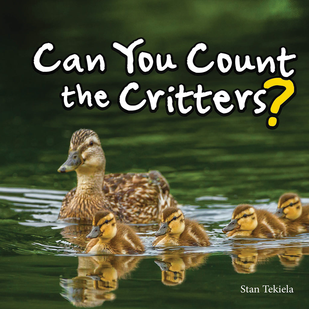 Can You Count The Critters?