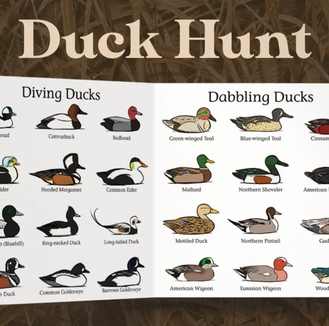 Duck Hunt