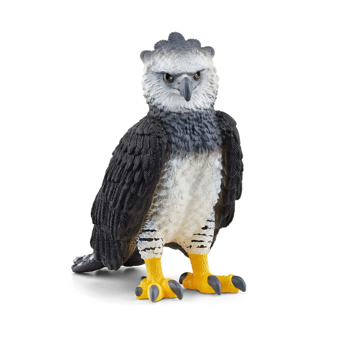 Harpyie Eagle