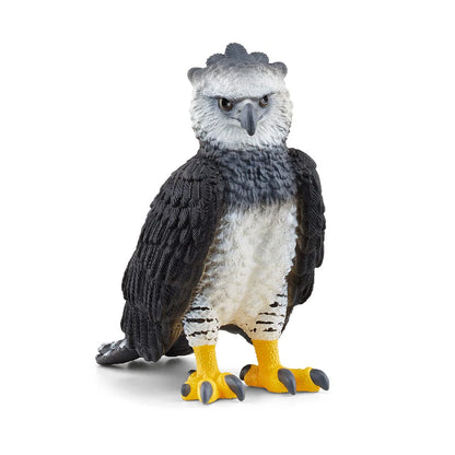 Harpyie Eagle