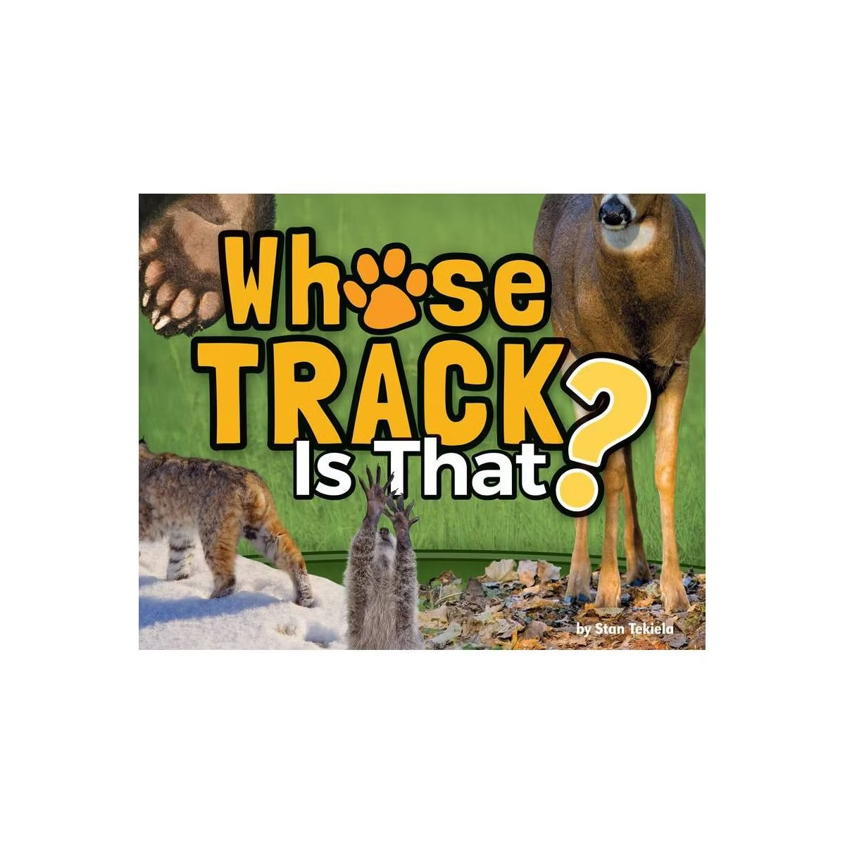 Whose Track Is That?