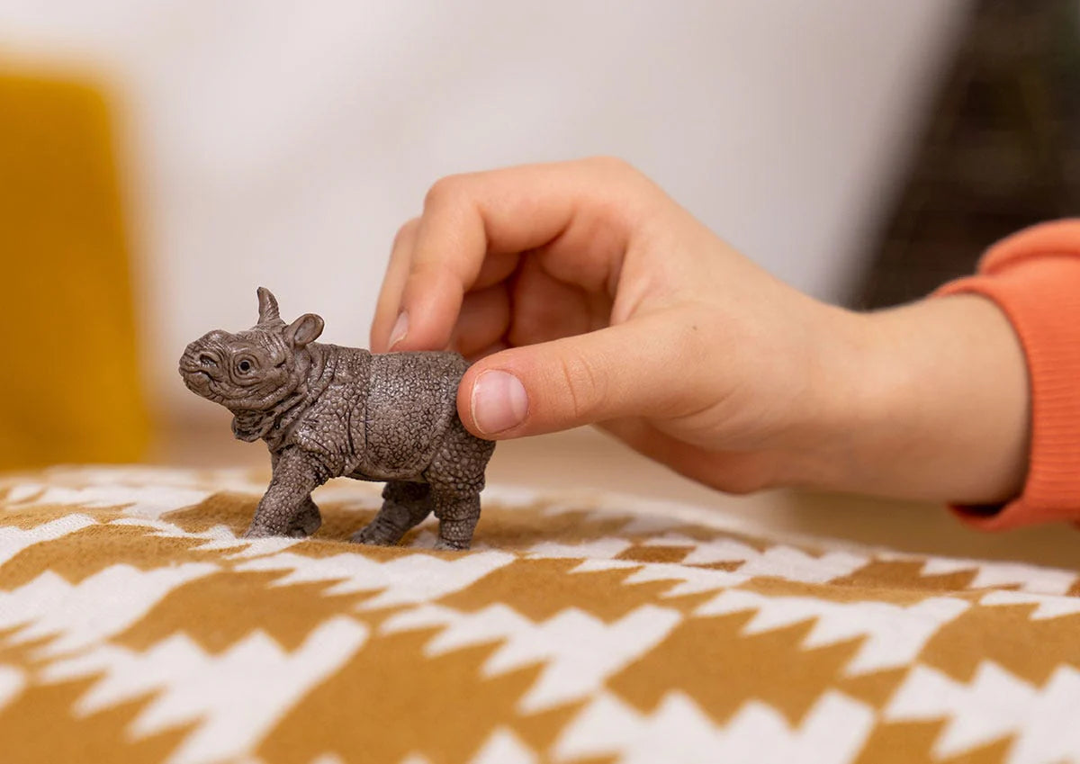 Indian baby rhinoceros