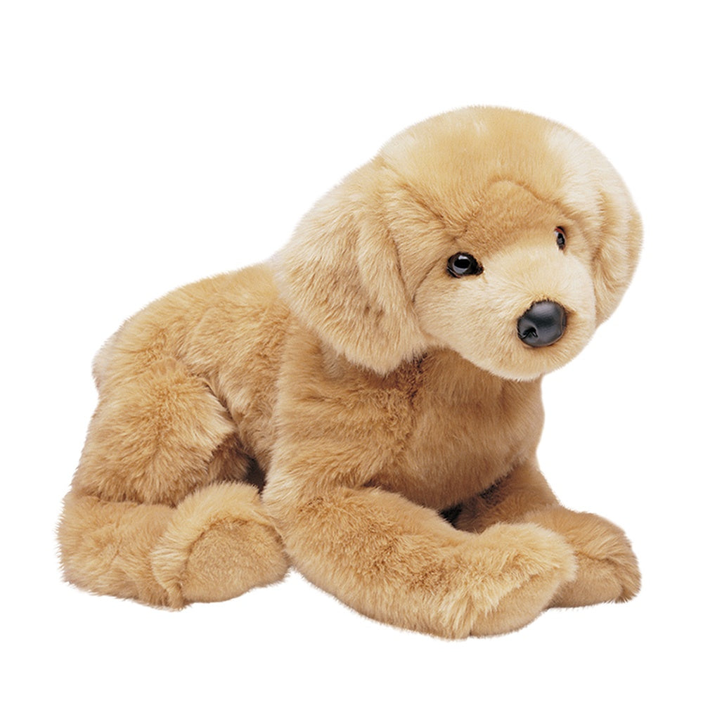 Honey Floppy Golden Retriver
