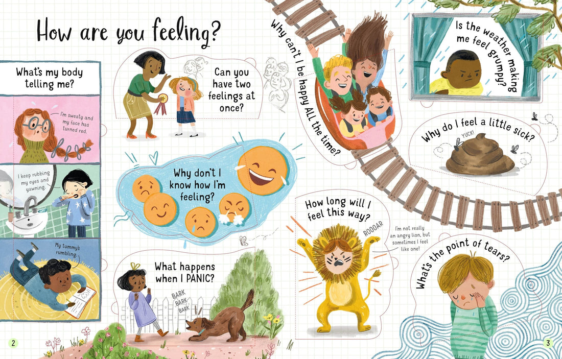 Lift-the-Flap Questions and Answers About Feelings