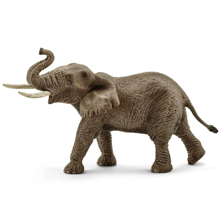 Wild Life African Elephant
