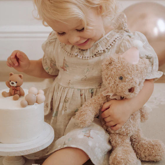Pink Birthday Bear w/ Gift Box