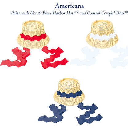 Americana Ribbon Set