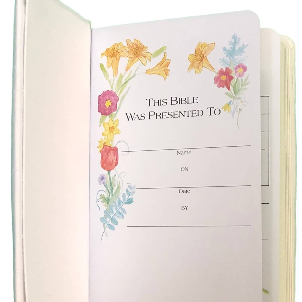 Baby’s First Bible In Shantung With Cross