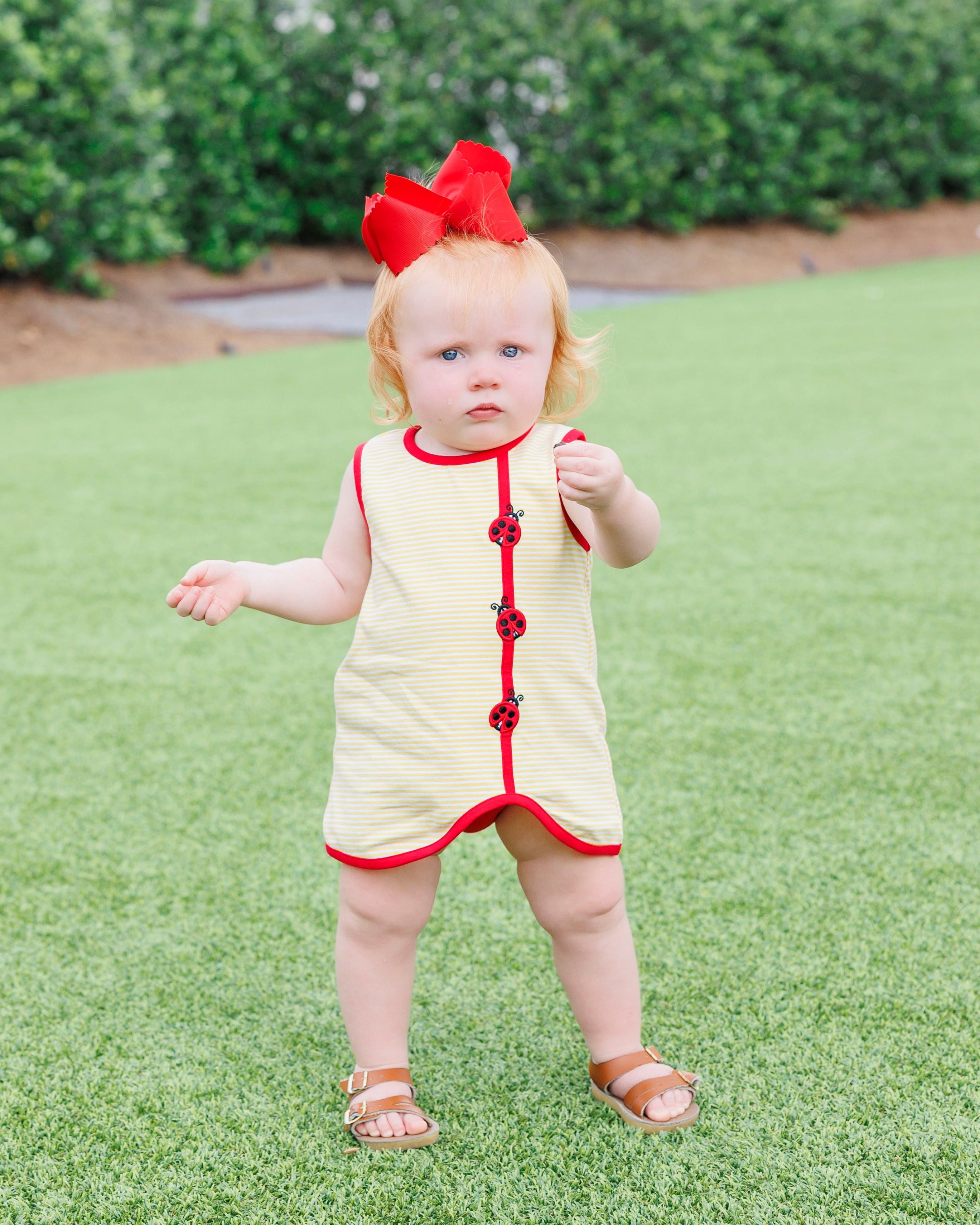 Lovely Ladybugs Diaper Set