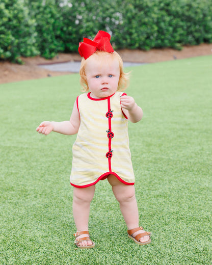 Lovely Ladybugs Diaper Set