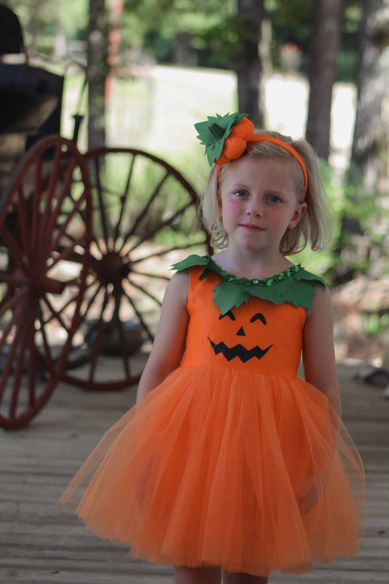 Pumpkin Patch Princess Dress