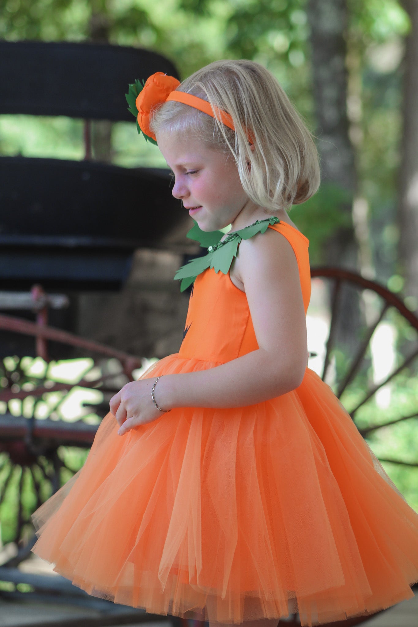 Pumpkin Patch Princess Dress