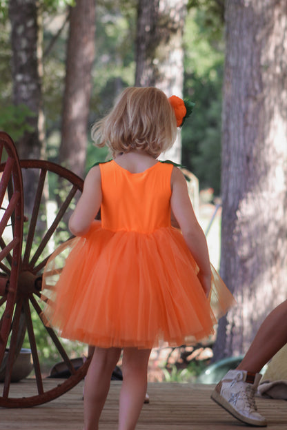 Pumpkin Patch Princess Dress