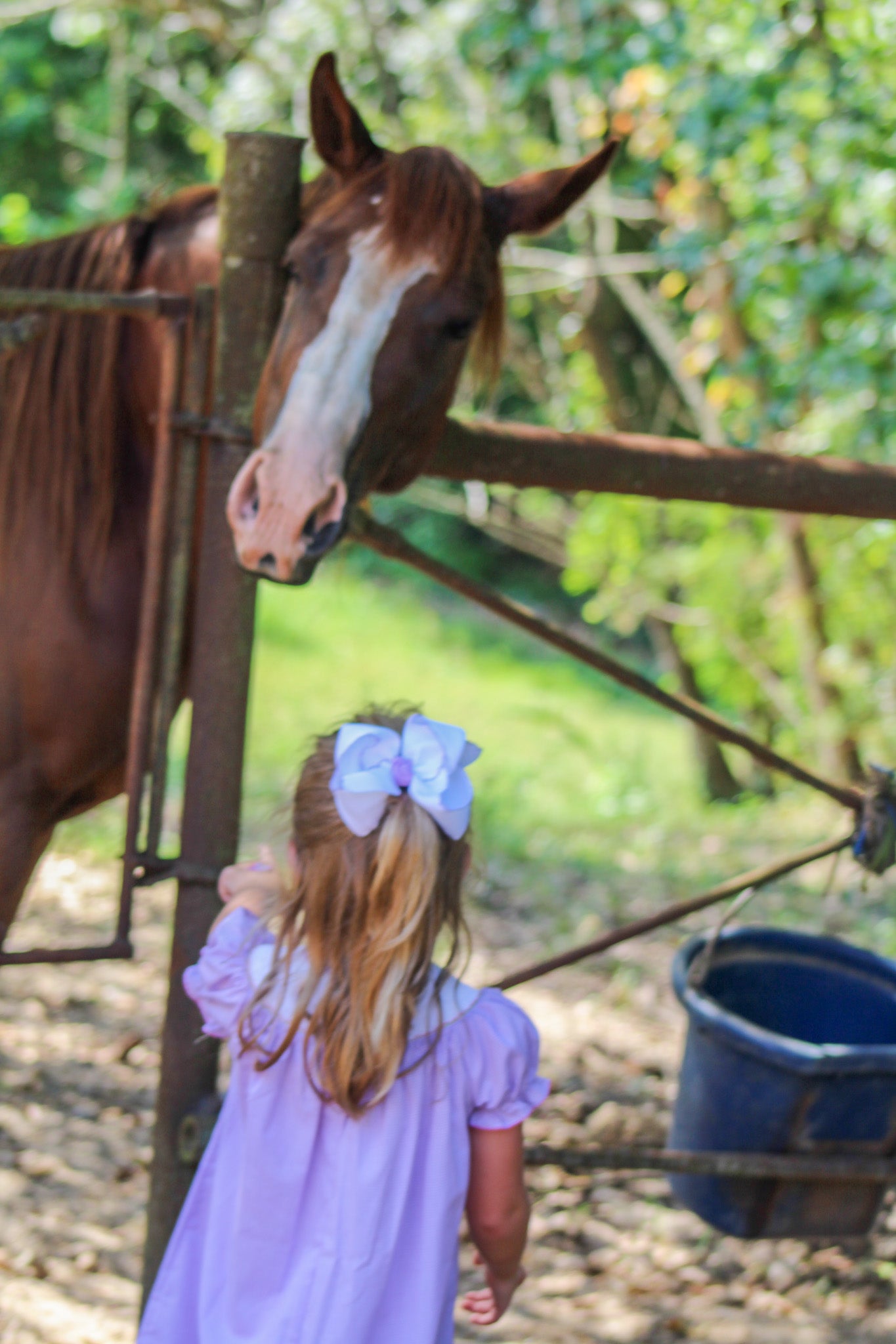 Smocked Halloween Cat Lavender Dress