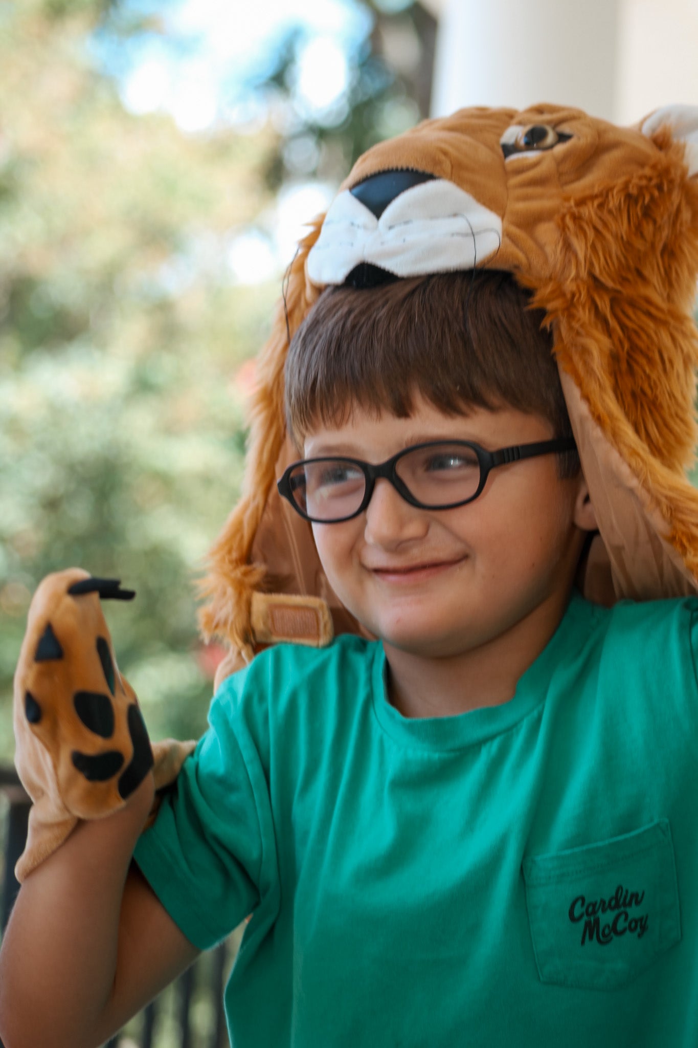 Storybook Lion Cape