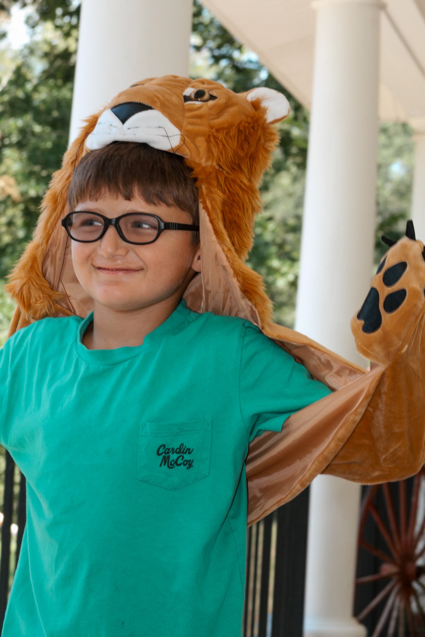 Storybook Lion Cape
