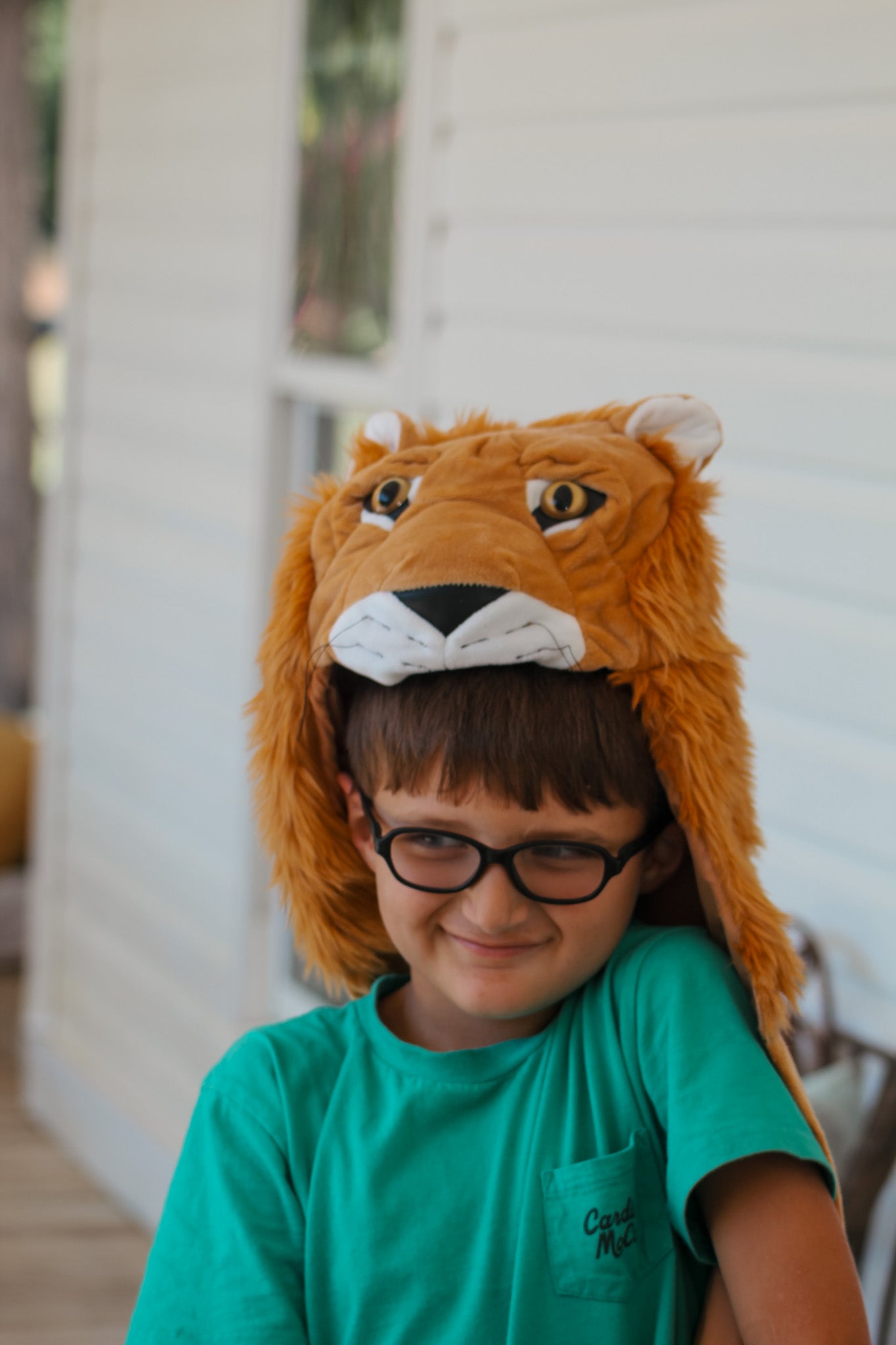 Storybook Lion Cape